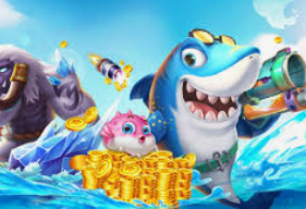 鲸鱼体育2024最新版