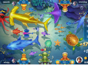 鲸鱼体育2024最新版