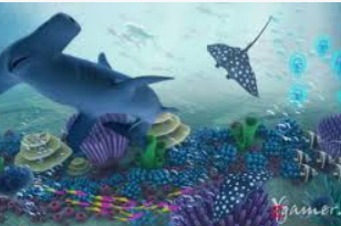 鲸鱼体育手机版