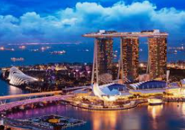 鲸鱼体育最新版