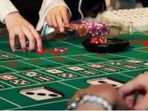 鲸鱼体育手机版